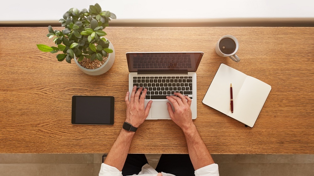 WEB Office desk with plant