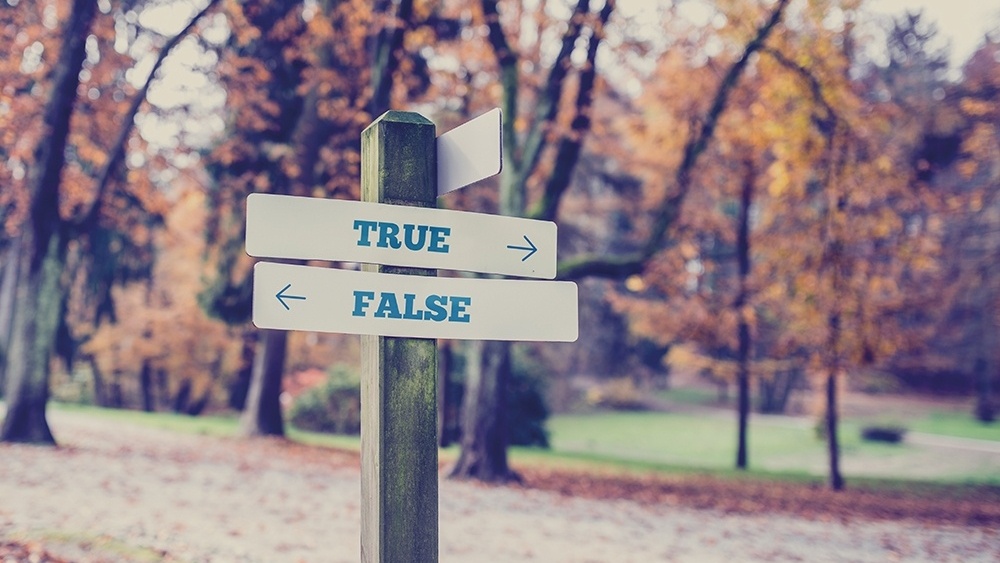 WEB - Signpost In A Park With Arrows Pointing two Opposite Directions Yowards True & False-369908-edited